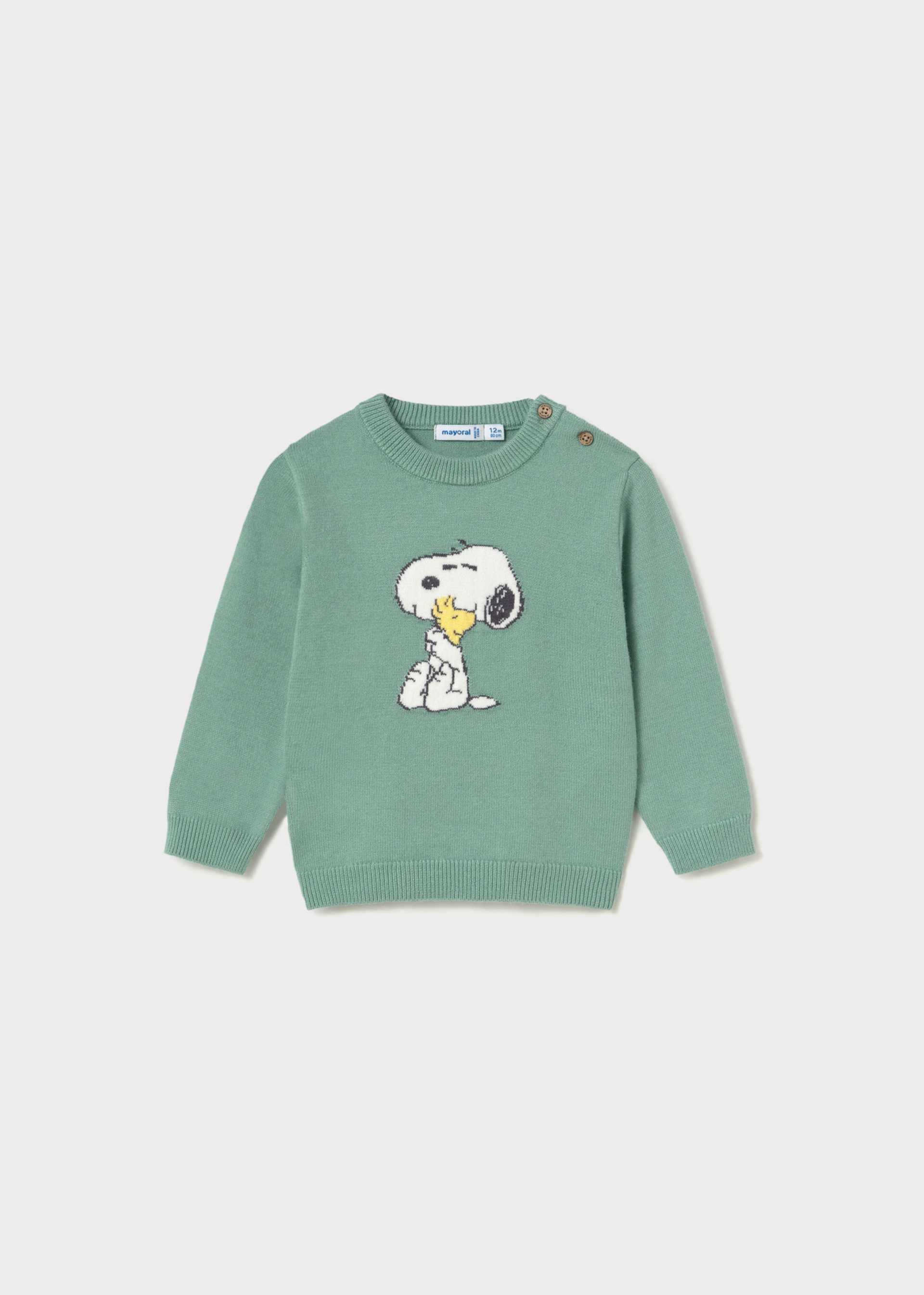 Sweater baby
