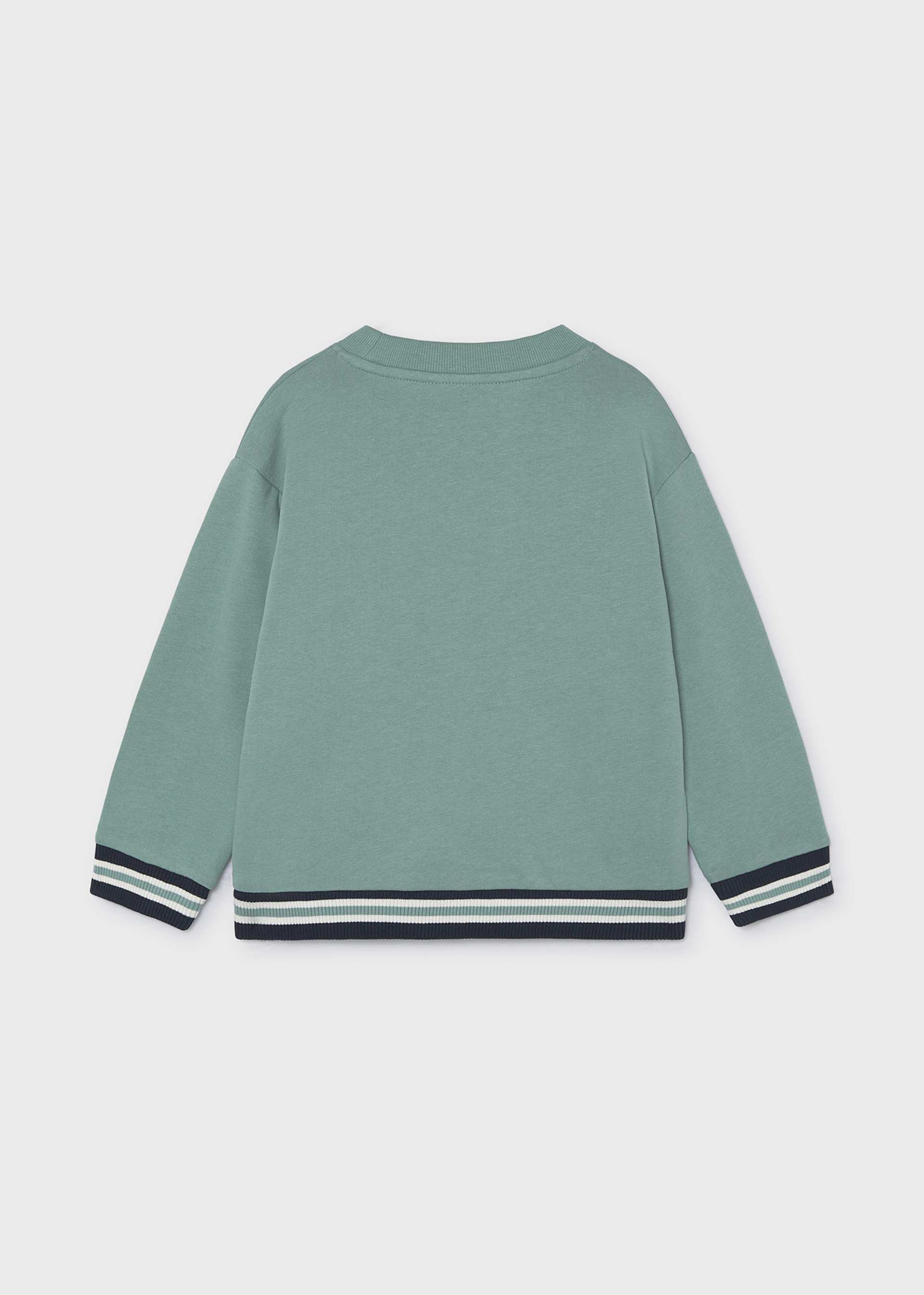 Boy Embroidered Sweatshirt