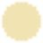 color icon