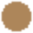 color icon