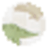color icon