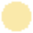 color icon