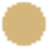 color icon