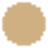 color icon