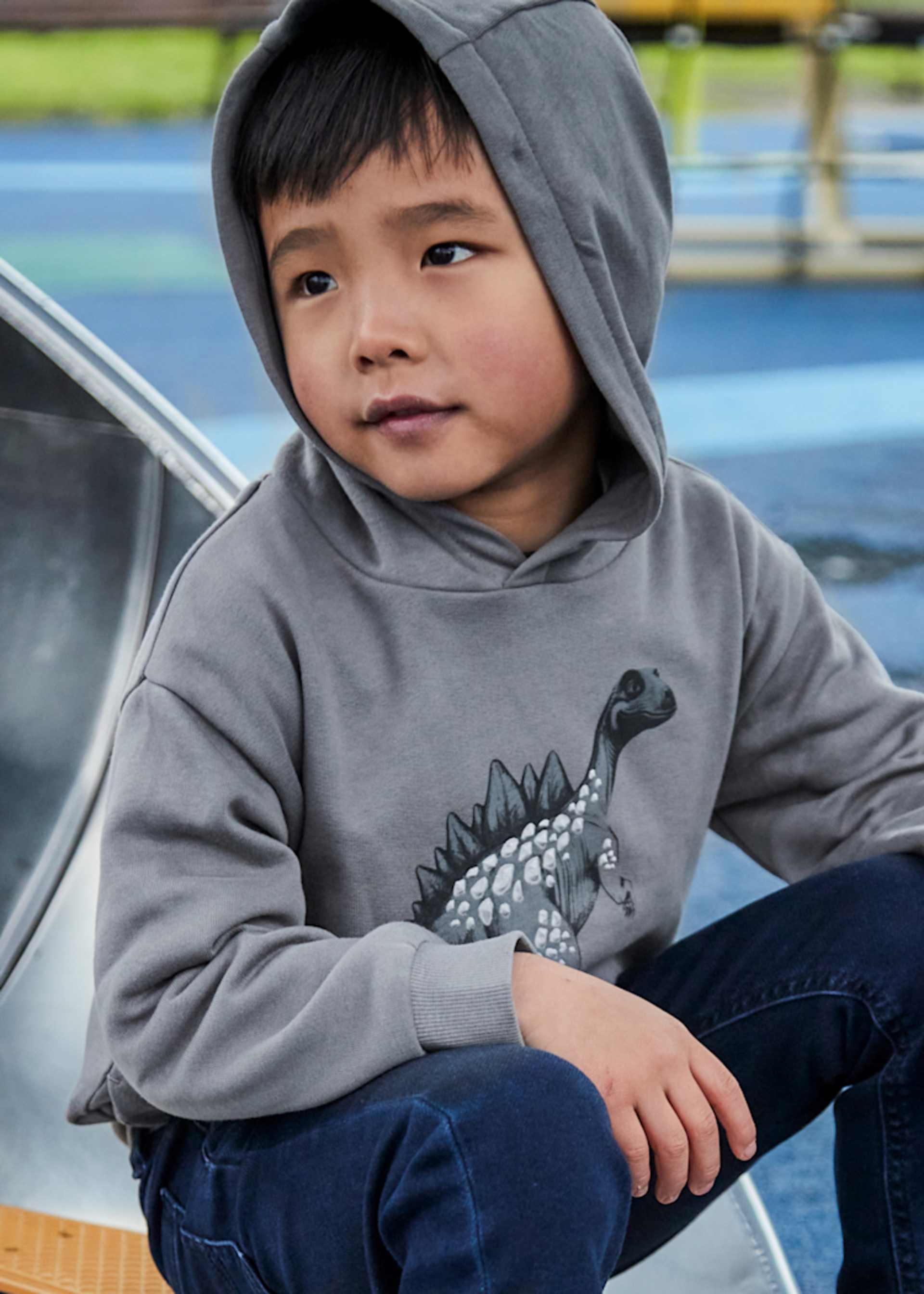 Boys dinosaur hoody
