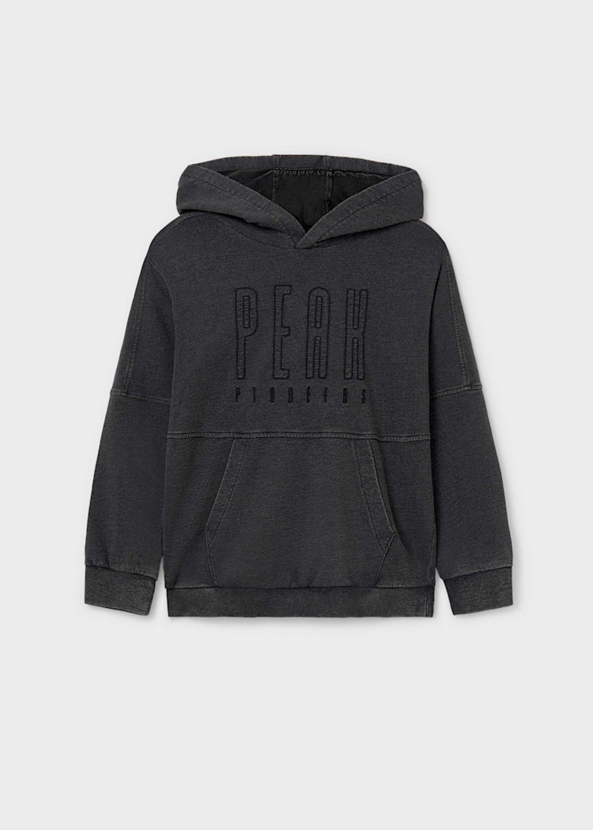 Unisex embroidered hoody