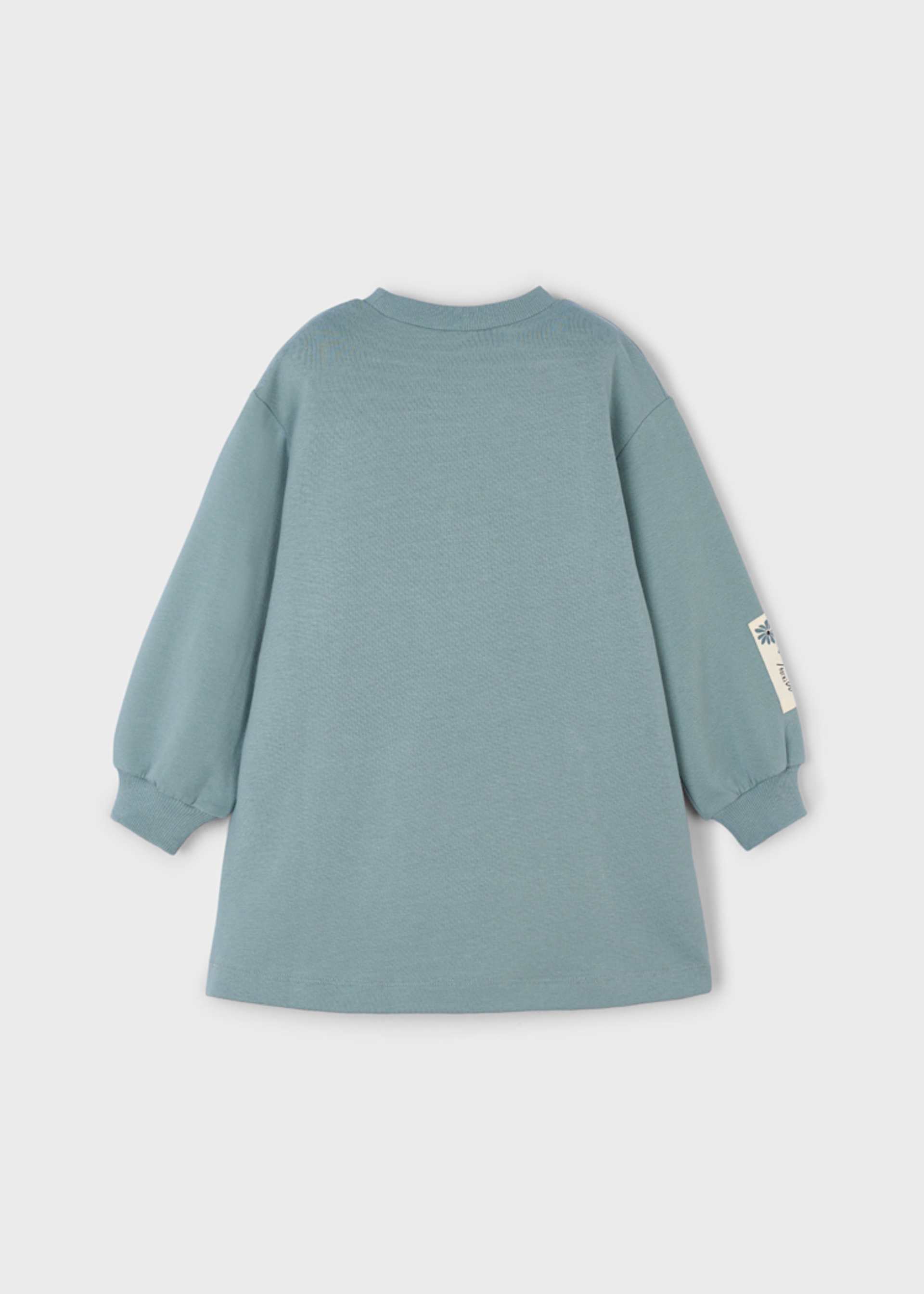 Girl Printed Fleece Dress