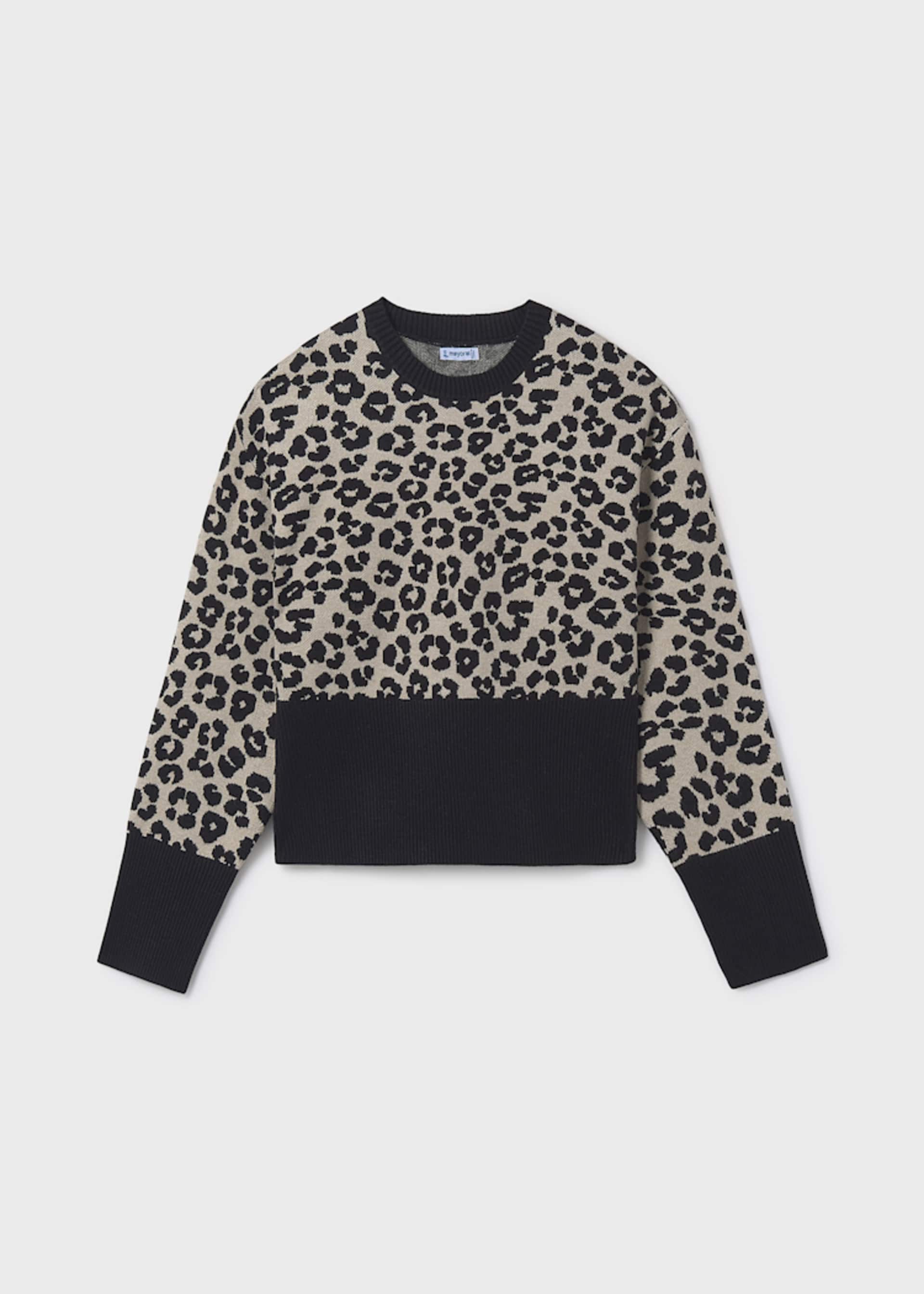 Pullover Teenager Mädchen