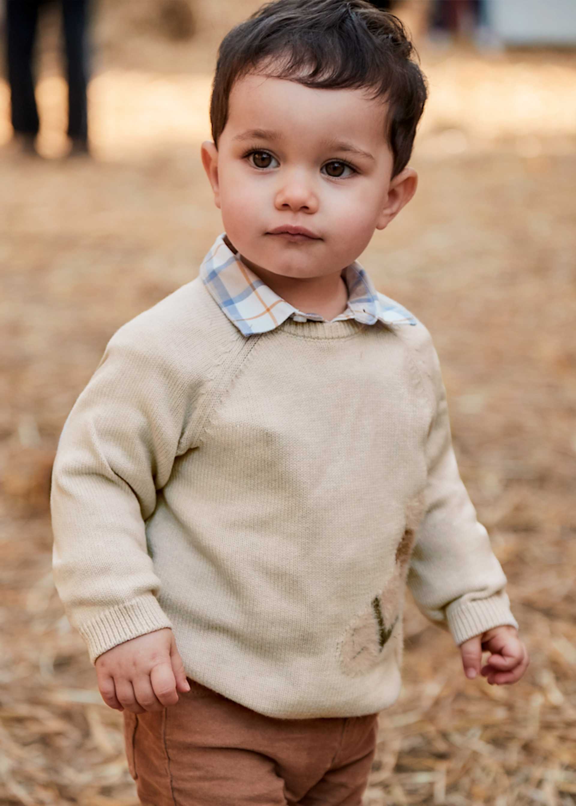 Baby Unisex Animal Intarsia Sweater