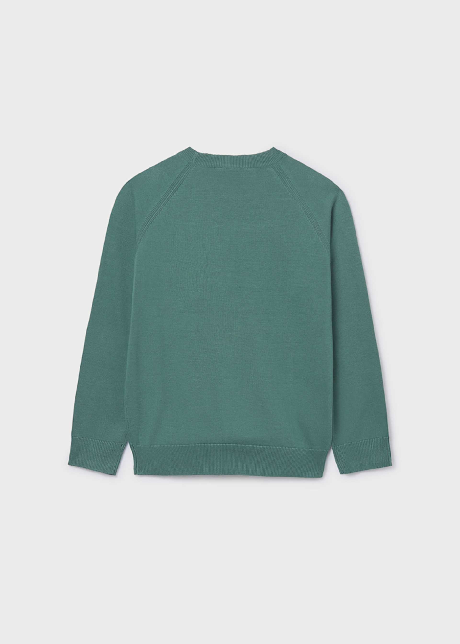 Boy Basic Jumper