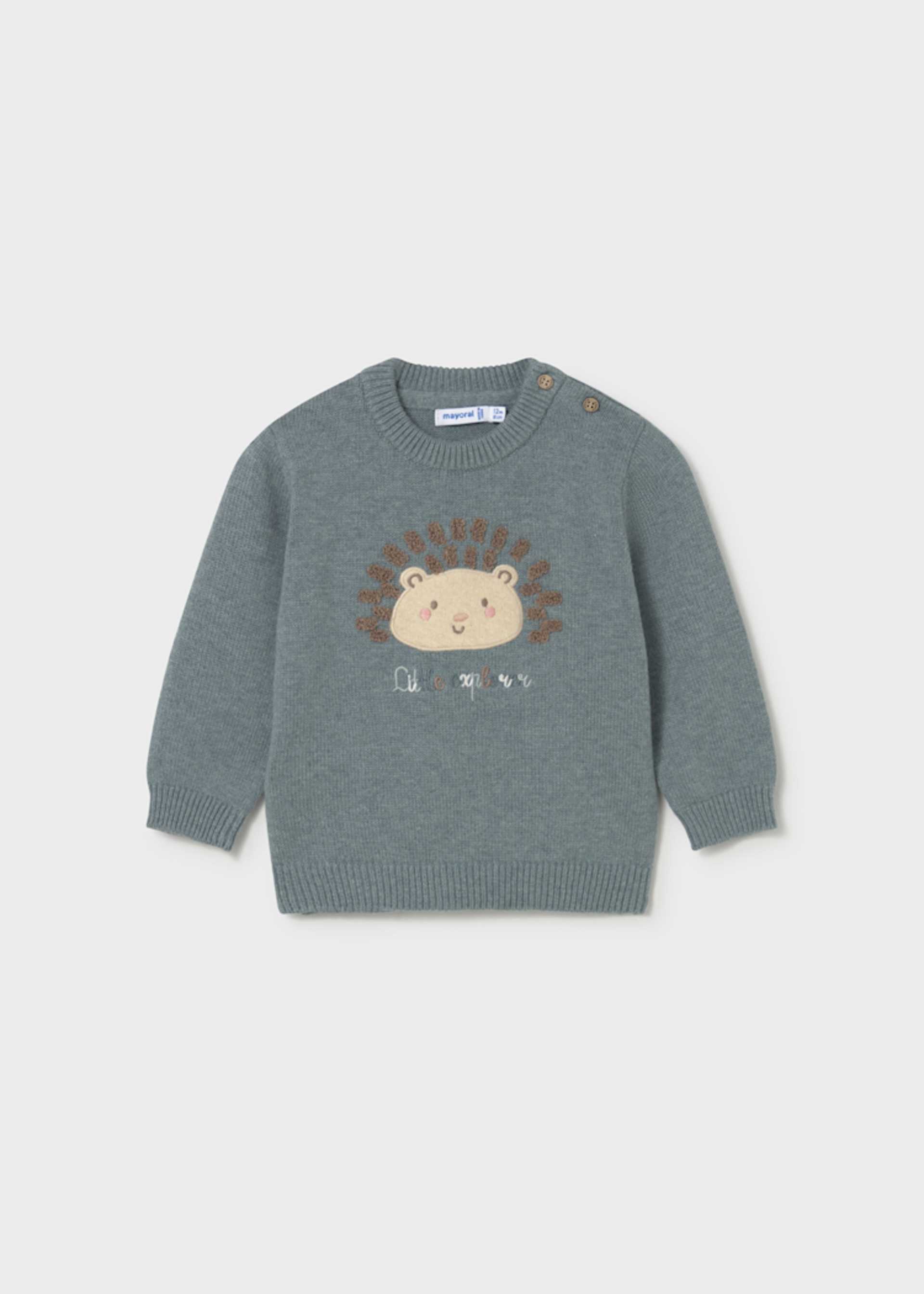 Baby hedgehog jumper