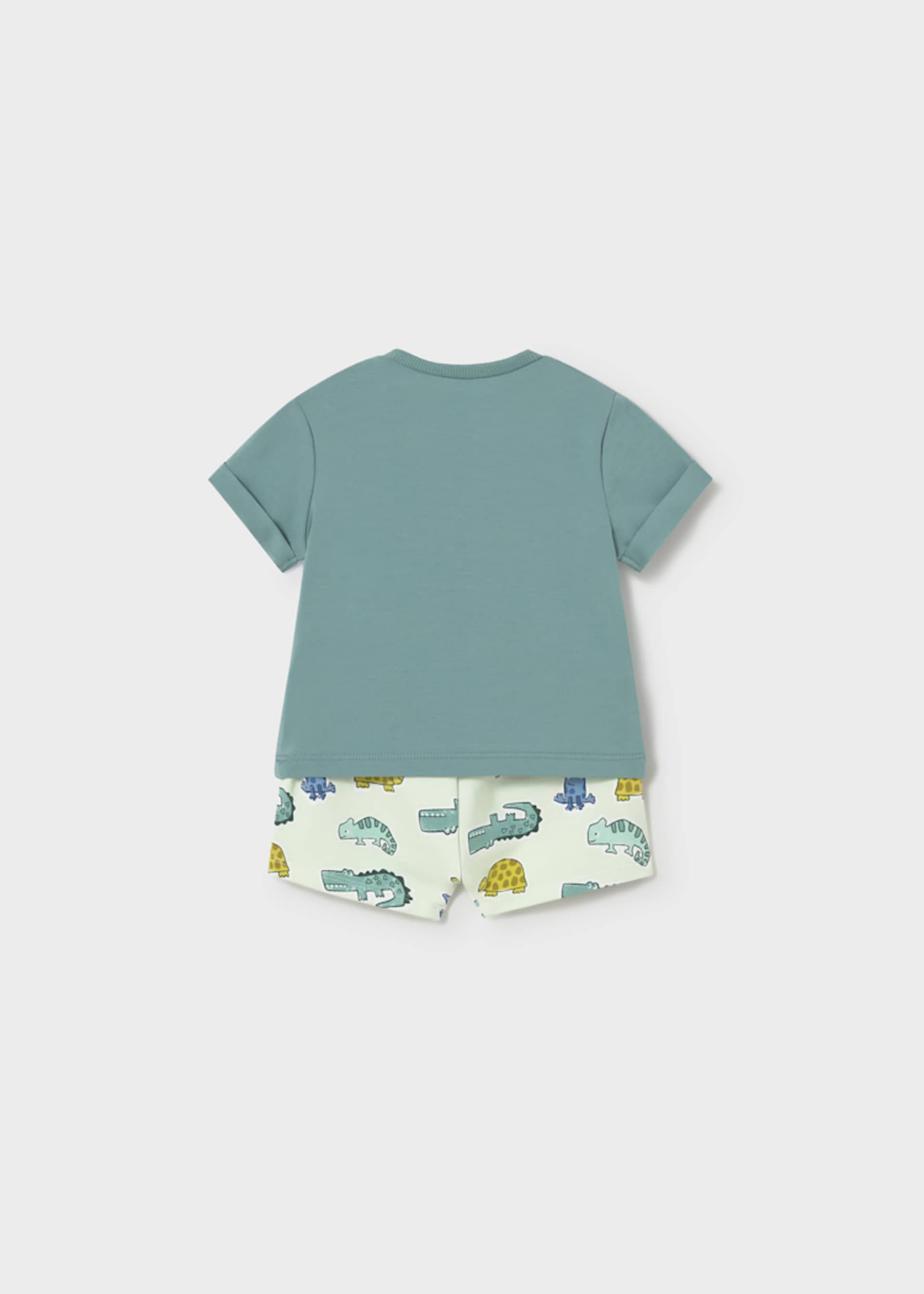 Newborn Boy Printed Shorts and T-shirt Set