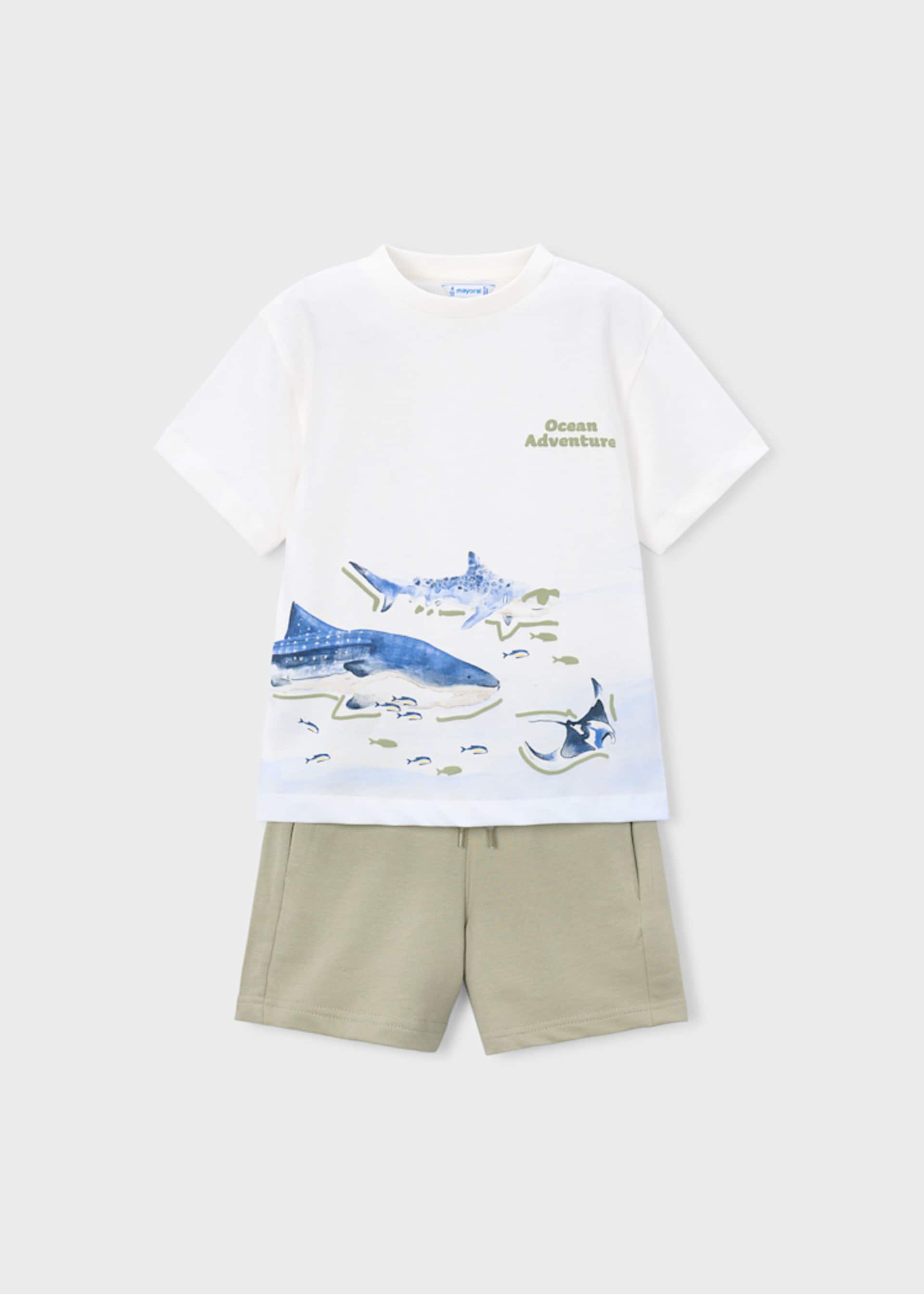 Shark knit Set boy Shark knit Set boy