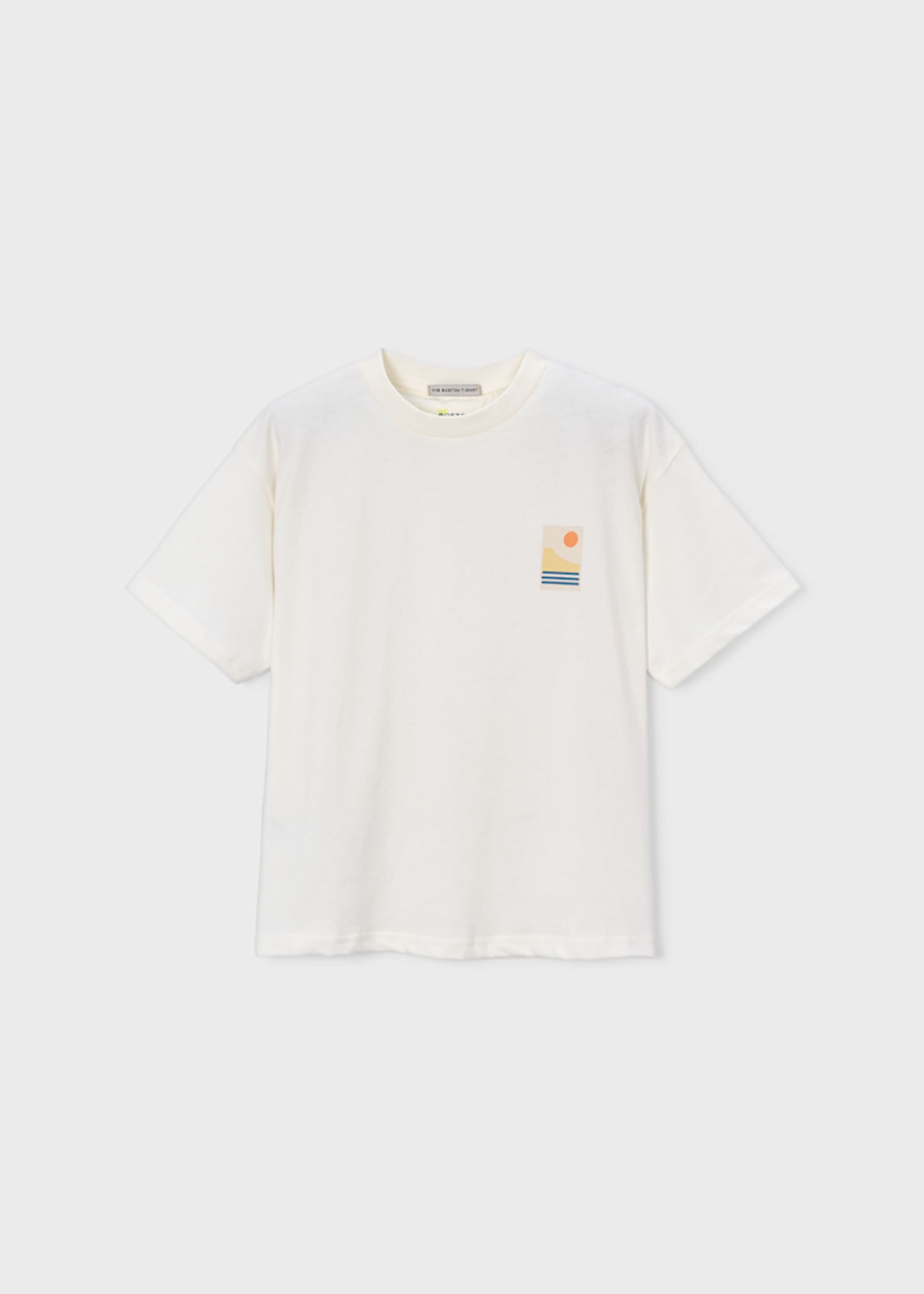 T-shirt paysage garçon Boston Kids