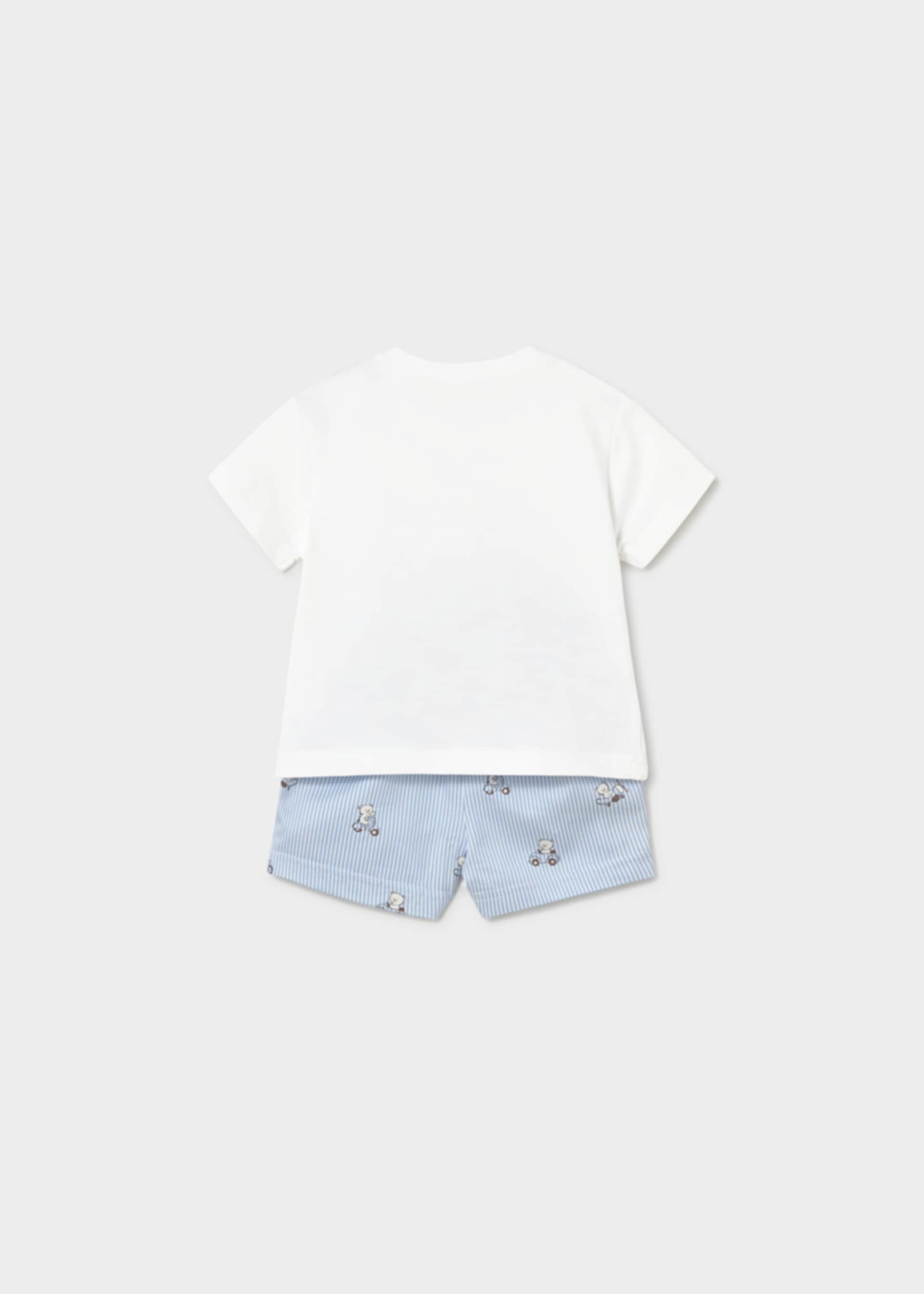 Newborn Boy Shorts and Teddy Bear T-shirt Set