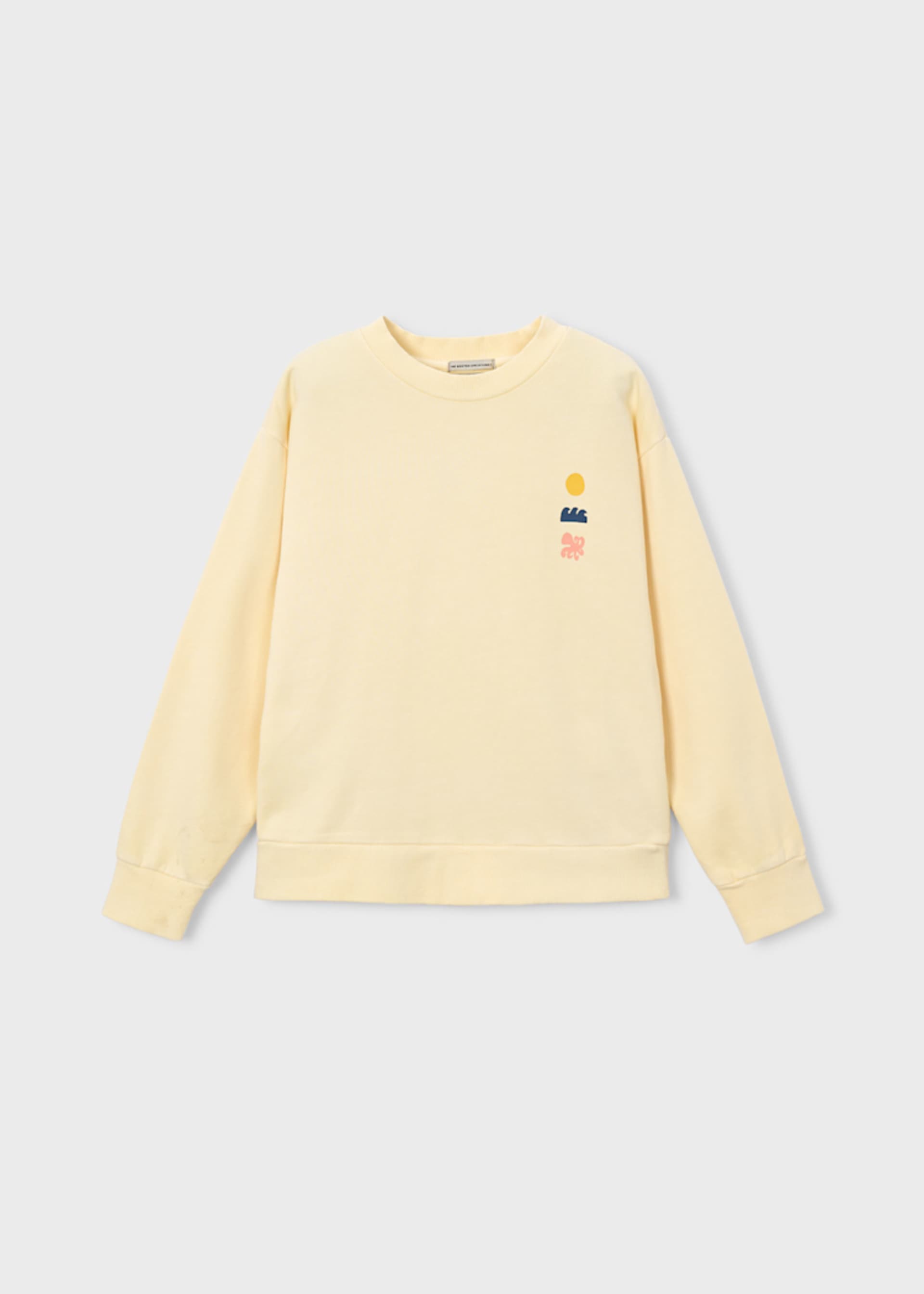 Bluza baiat Boston Kids