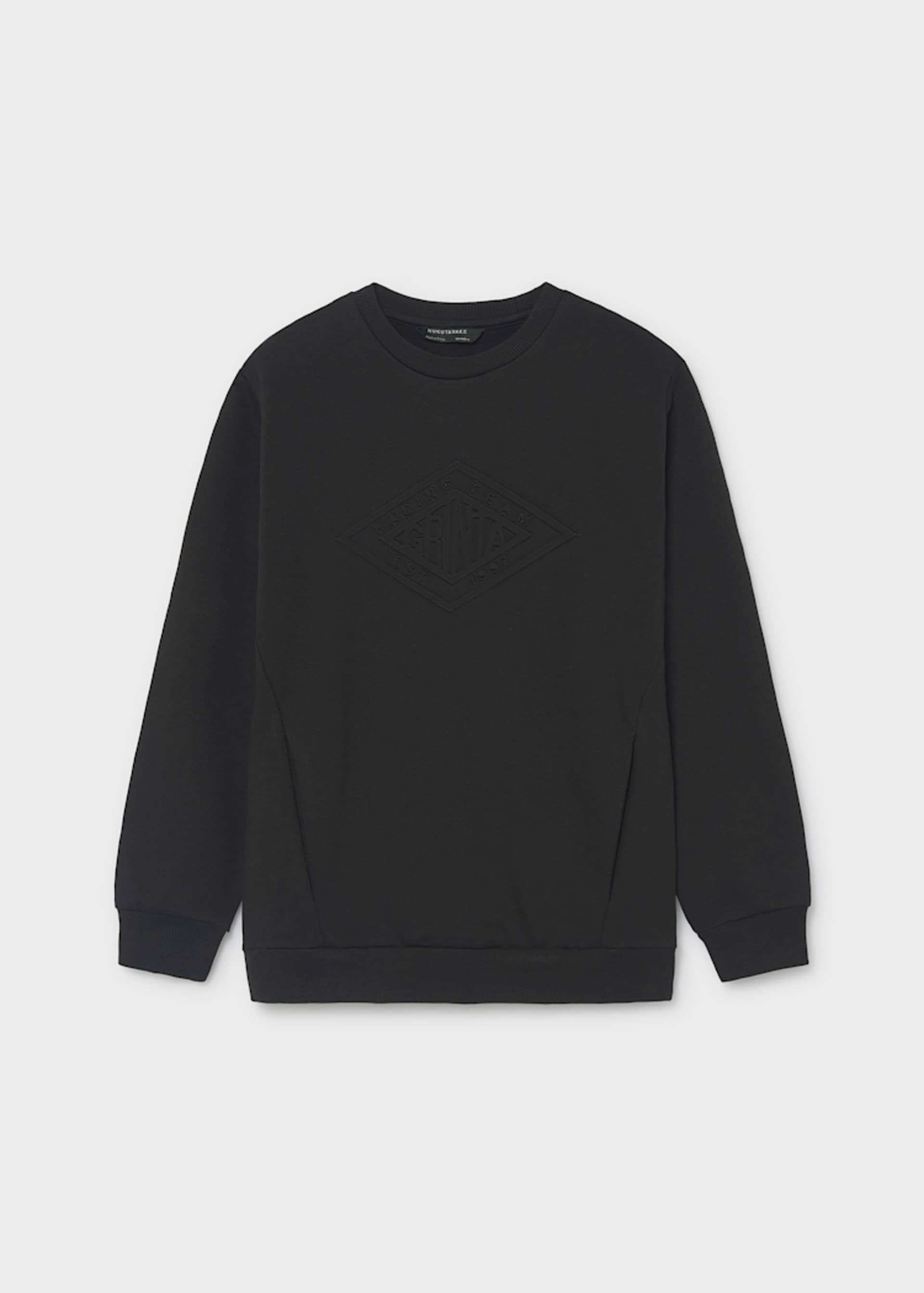 Sweatshirt embossed Teenager Jungen Sweatshirt embossed Teenager Jungen