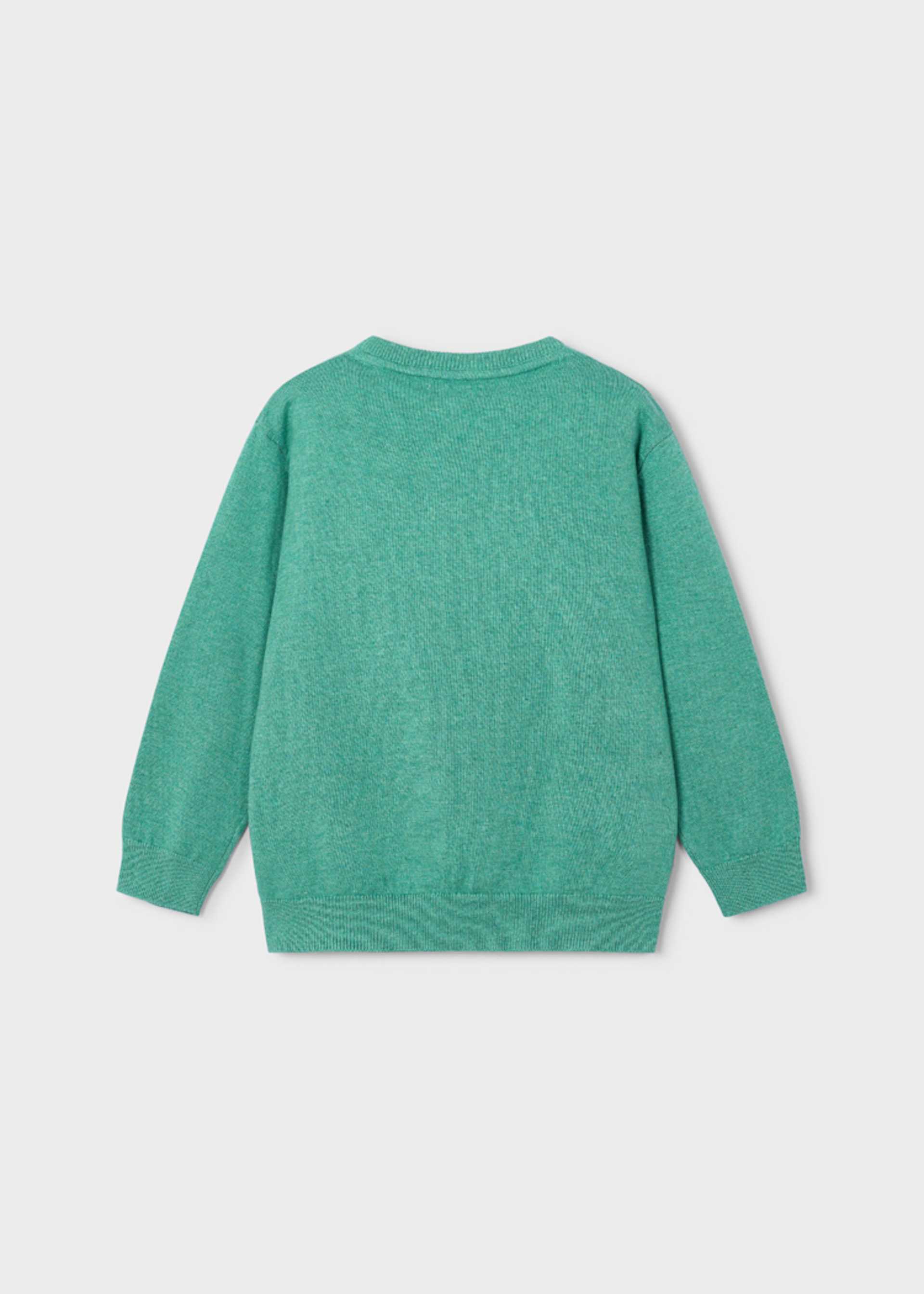 Boy Crewneck Sweater