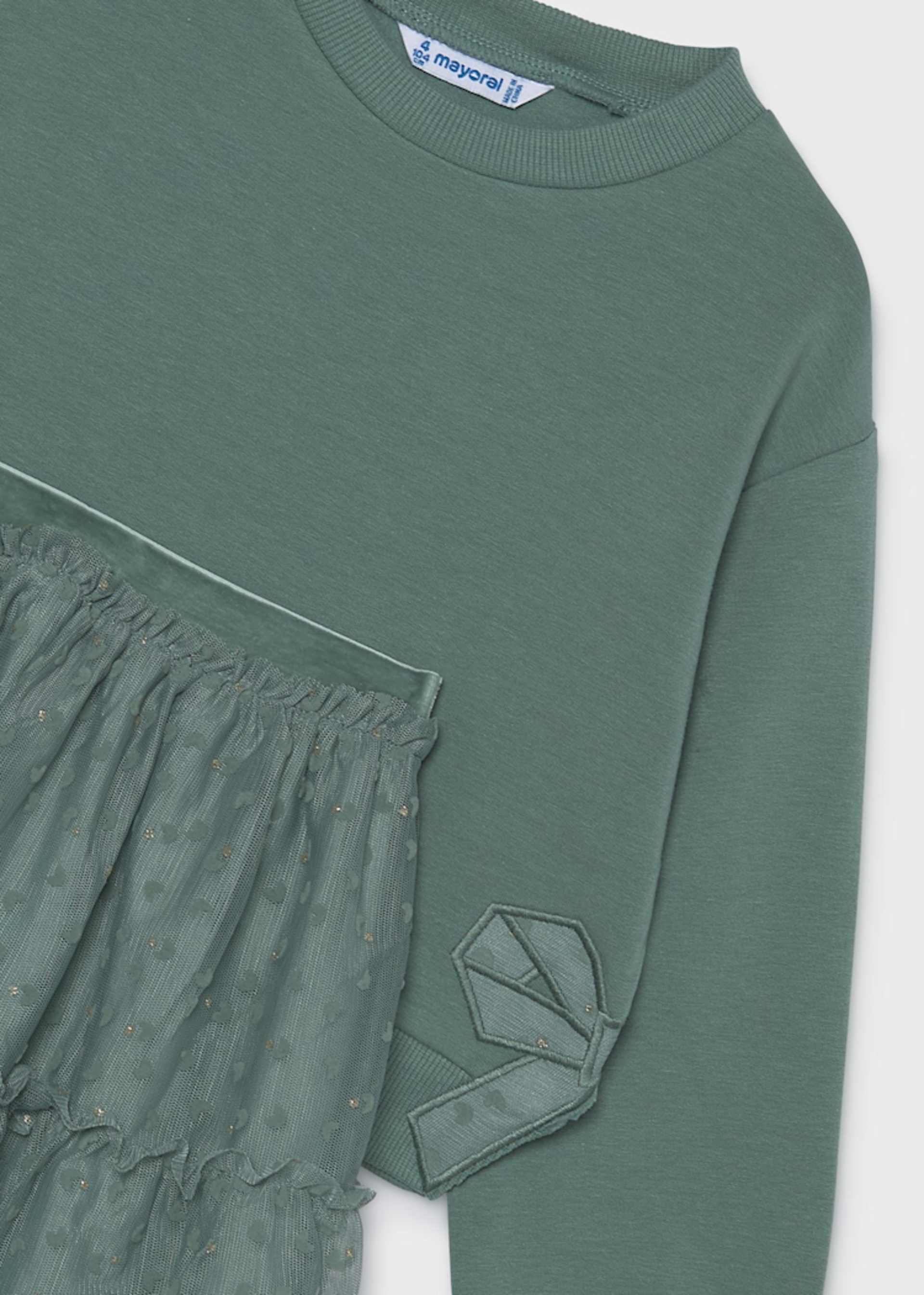 Girl Tulle Skirt and Sweatshirt Set