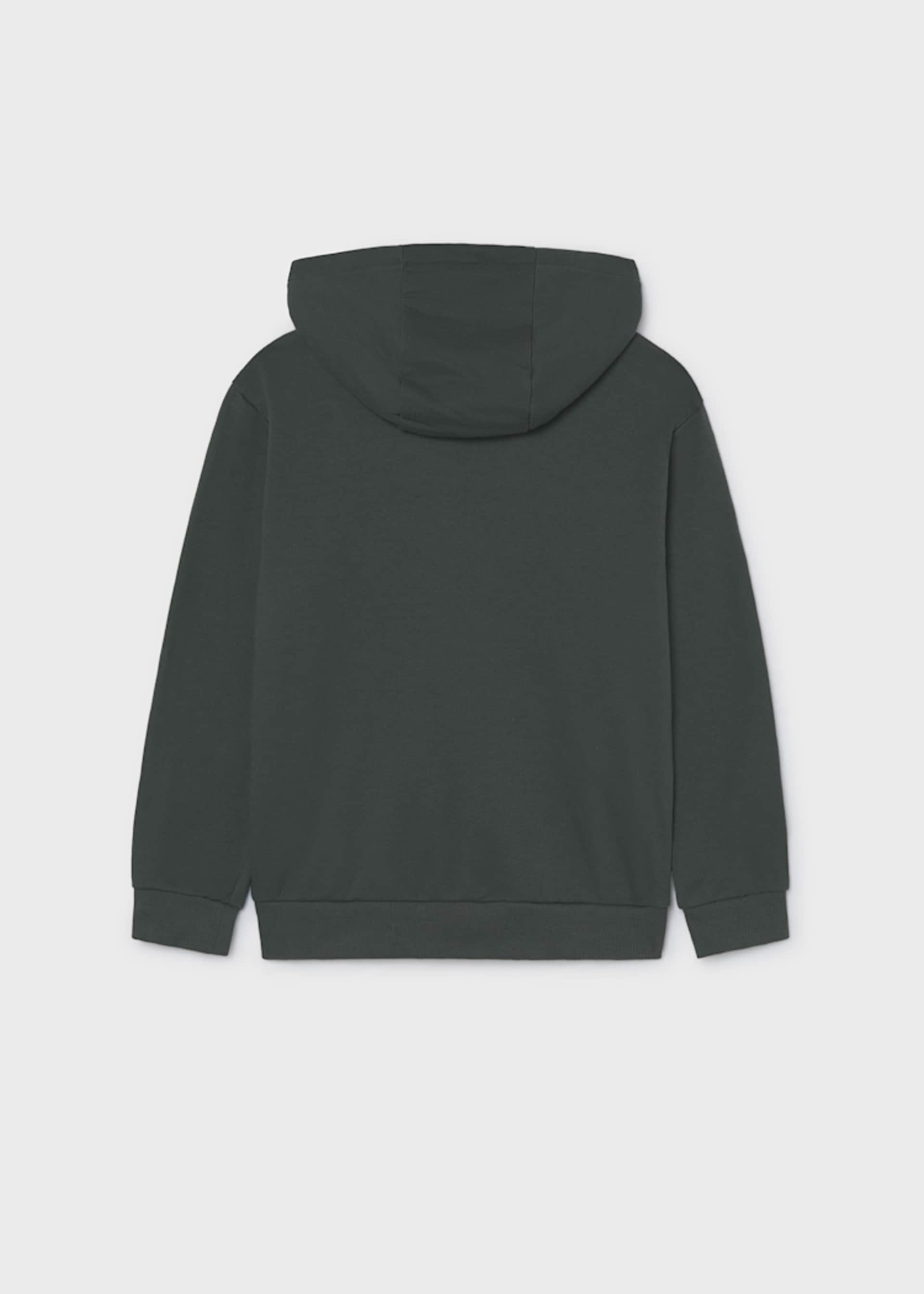 Boy Zip-Up Hoodie