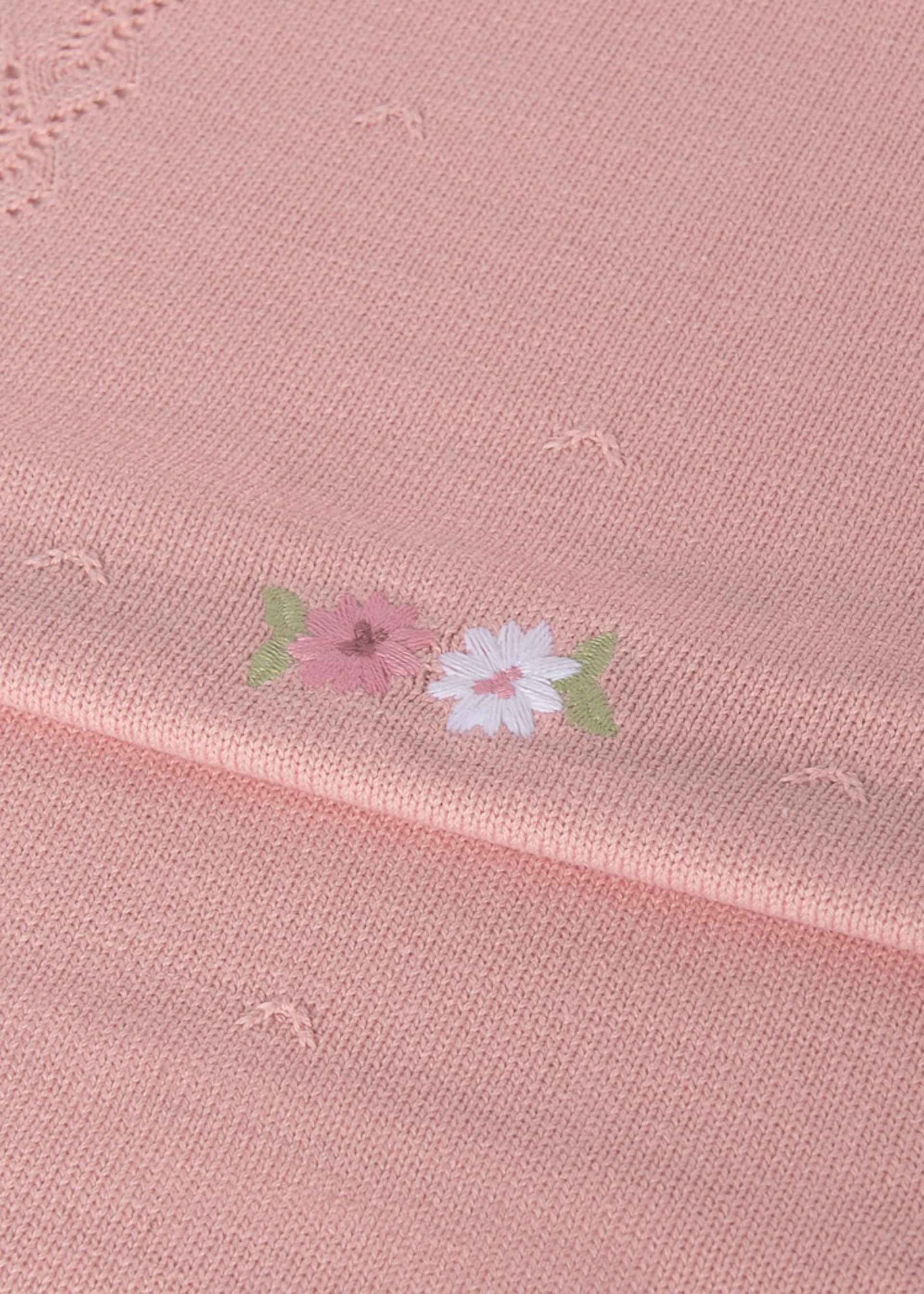 Baby Shawl