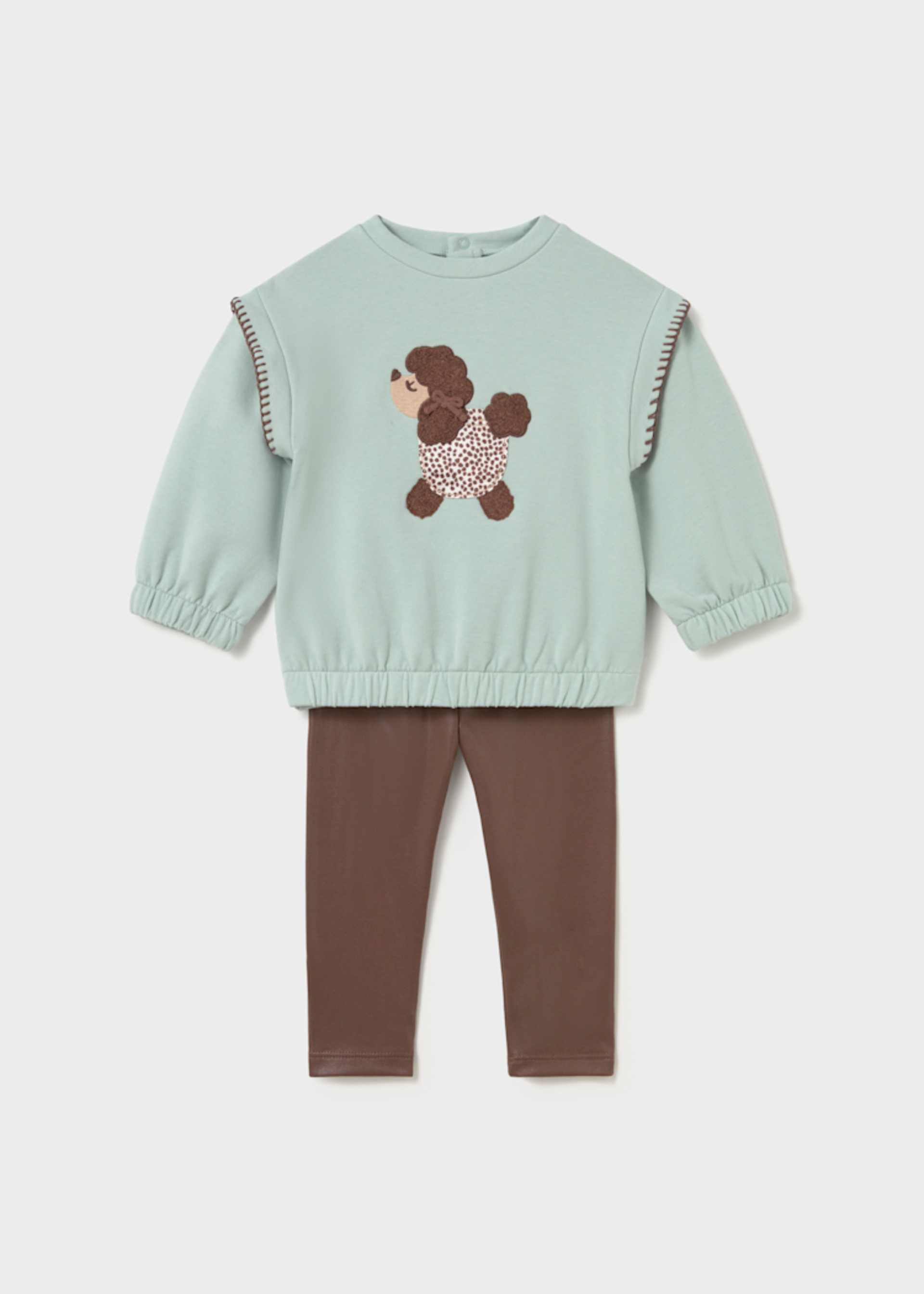 Baby Sweatshirt and Leggings Set